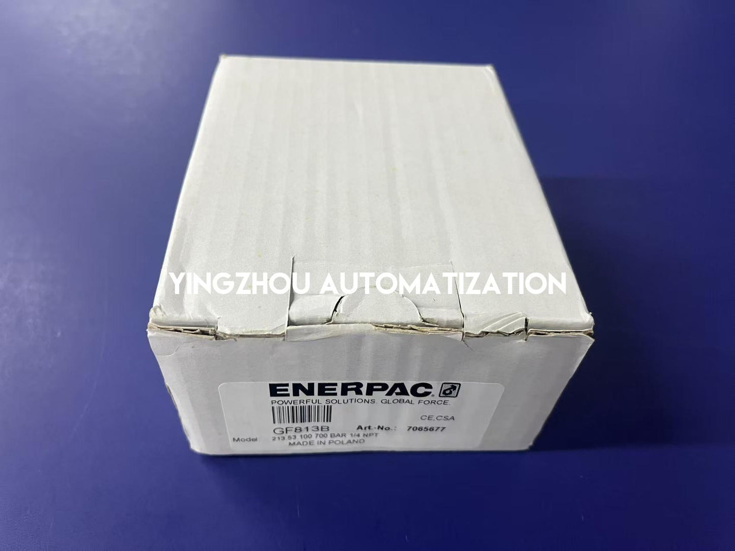 ENERPAC GF813B Hydraulic Force and Pressure Gauge Metric Scale for Use with 20, 30, and 60 Ton Cylinders