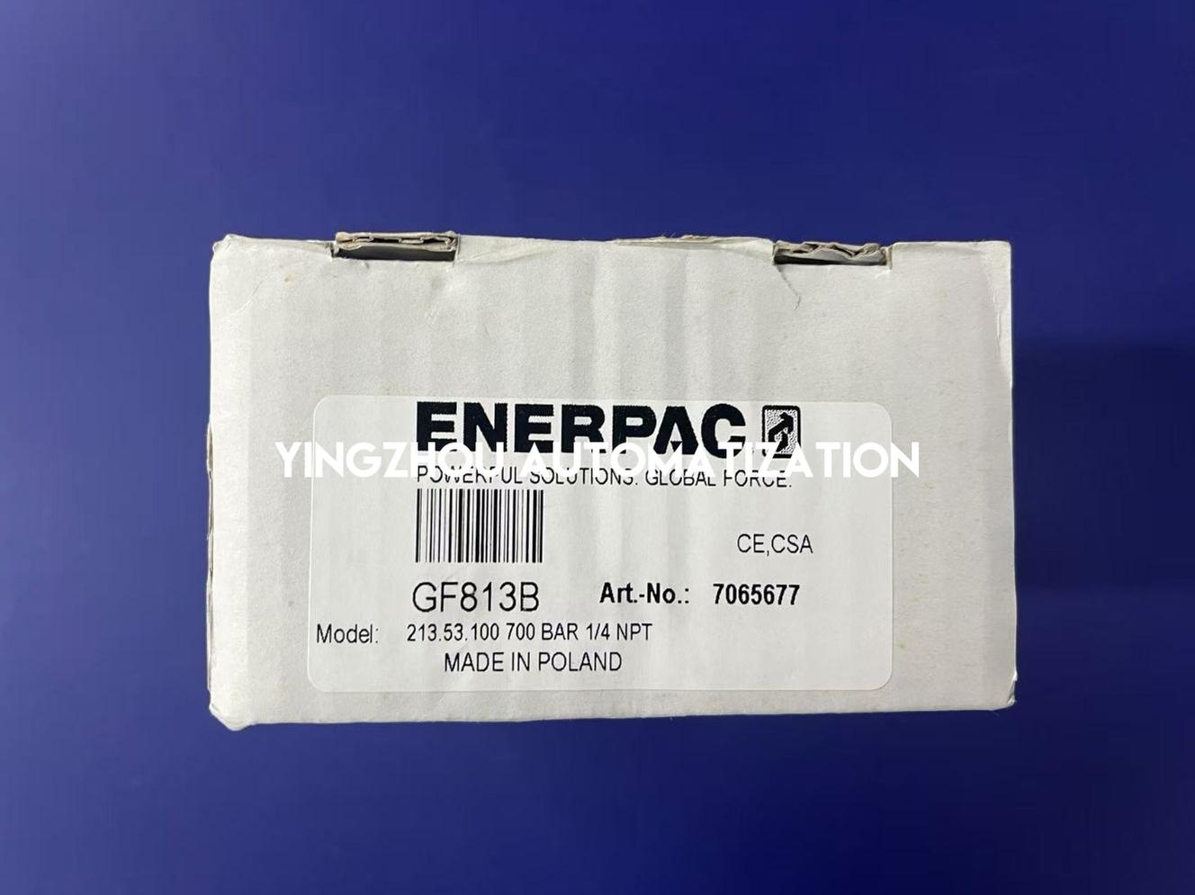 ENERPAC GF813B Hydraulic Force and Pressure Gauge Metric Scale for Use with 20, 30, and 60 Ton Cylinders