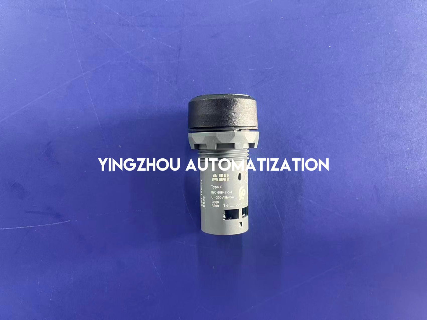 ABB CP1-13G-10 Pushbutton | Green Flush, Momentary, 1NO Contact, Compact Series, Industrial Control, Brand New Original-YingZhou Automatization