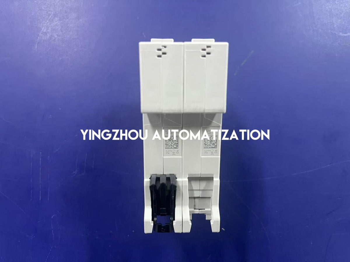 ABB S202-C2 S200 2A 2P C Curve 6kA 400V AC Miniature Circuit Breaker-YingZhou Automatization