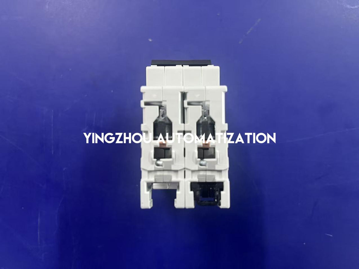 ABB S202-C2 S200 2A 2P C Curve 6kA 400V AC Miniature Circuit Breaker-YingZhou Automatization