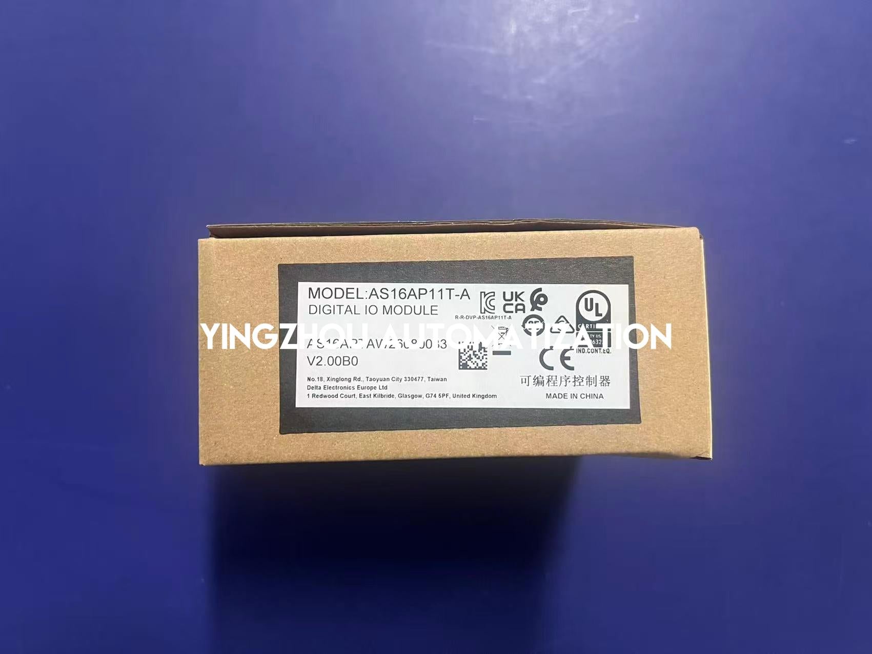 Delta AS16AP11T-A PLC Digital I/O Module | 16-Point, Transistor Output | Brand New Original-YingZhou Automatization