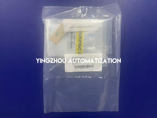 Enerpac P391K2 Repair Kit for P391 P392 Hydraulic Hand Pumps-YingZhou Automatization
