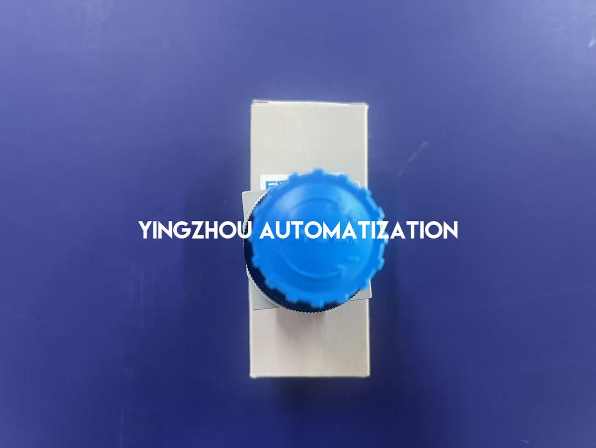 Festo LR-D-MINI 546430 D Series Mini Direct-Acting Diaphragm Pneumatic Pressure Regulator 0.5–12 Bar-YingZhou Automatization