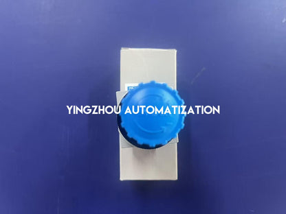 Festo LR-D-MINI 546430 D Series Mini Direct-Acting Diaphragm Pneumatic Pressure Regulator 0.5–12 Bar-YingZhou Automatization