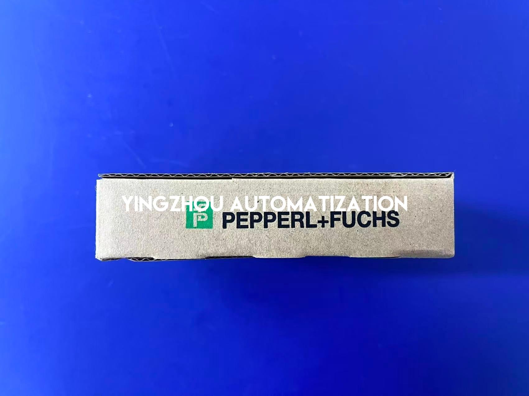 Pepperl+Fuchs KFD2-SR2-Ex2.W Switch Amplifier | Dual Channel | Intrinsically Safe | Barrier | Brand New Original-YingZhou Automatization