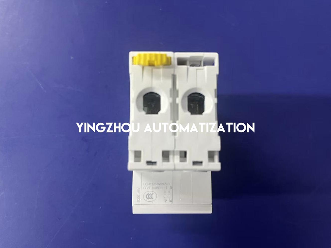 Schneider Acti9 IC65N Series Miniature Circuit Breaker (MCB) A9F19202 2P 2A D Curve 6000A 6kA-YingZhou Automatization