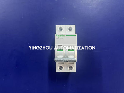 Schneider Electric A91NC202 A9 Pro iC65N 2P 2A C Curve Miniature Circuit Breaker-YingZhou Automatization