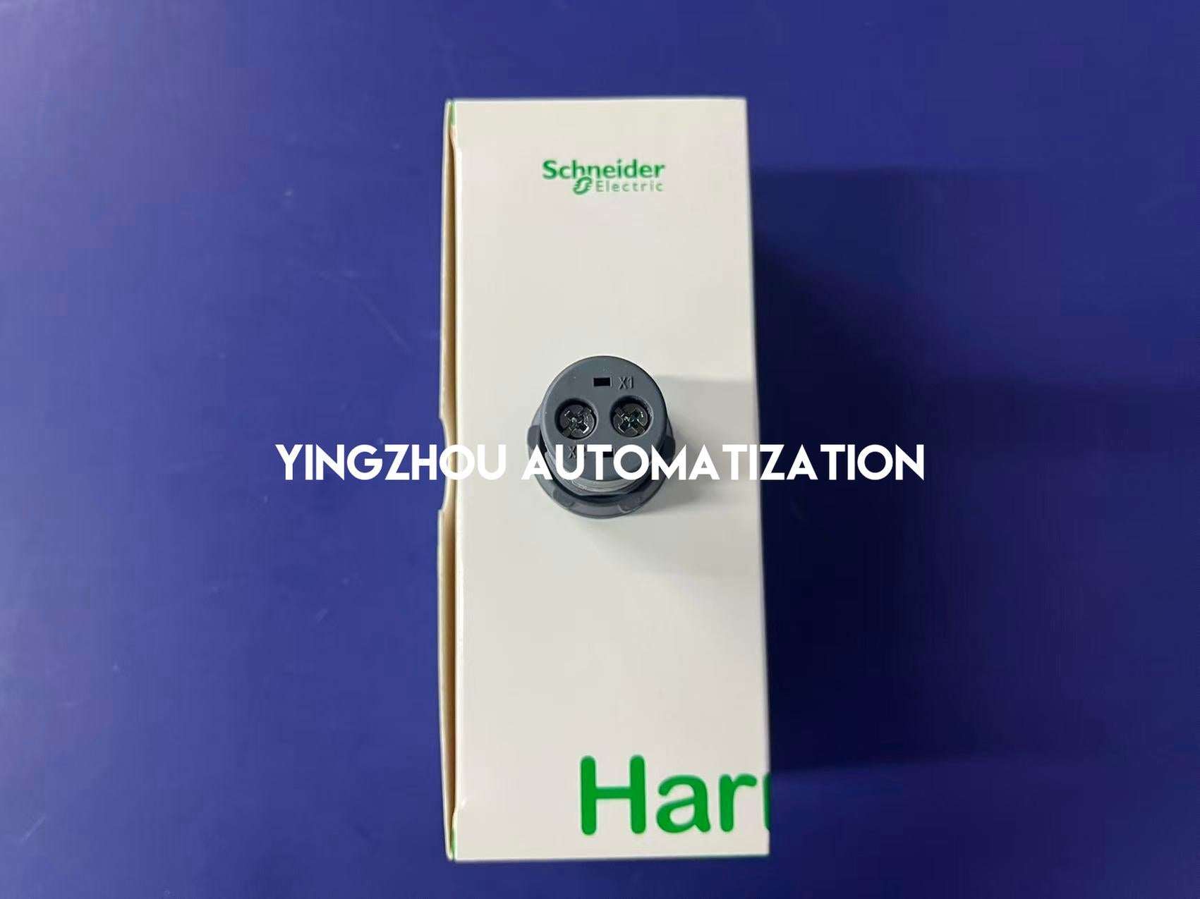 Schneider Electric XA2EVM3LC Easy Harmony Monolithic Pilot Light | 22mm, Green LED, 220V AC, IP65-YingZhou Automatization