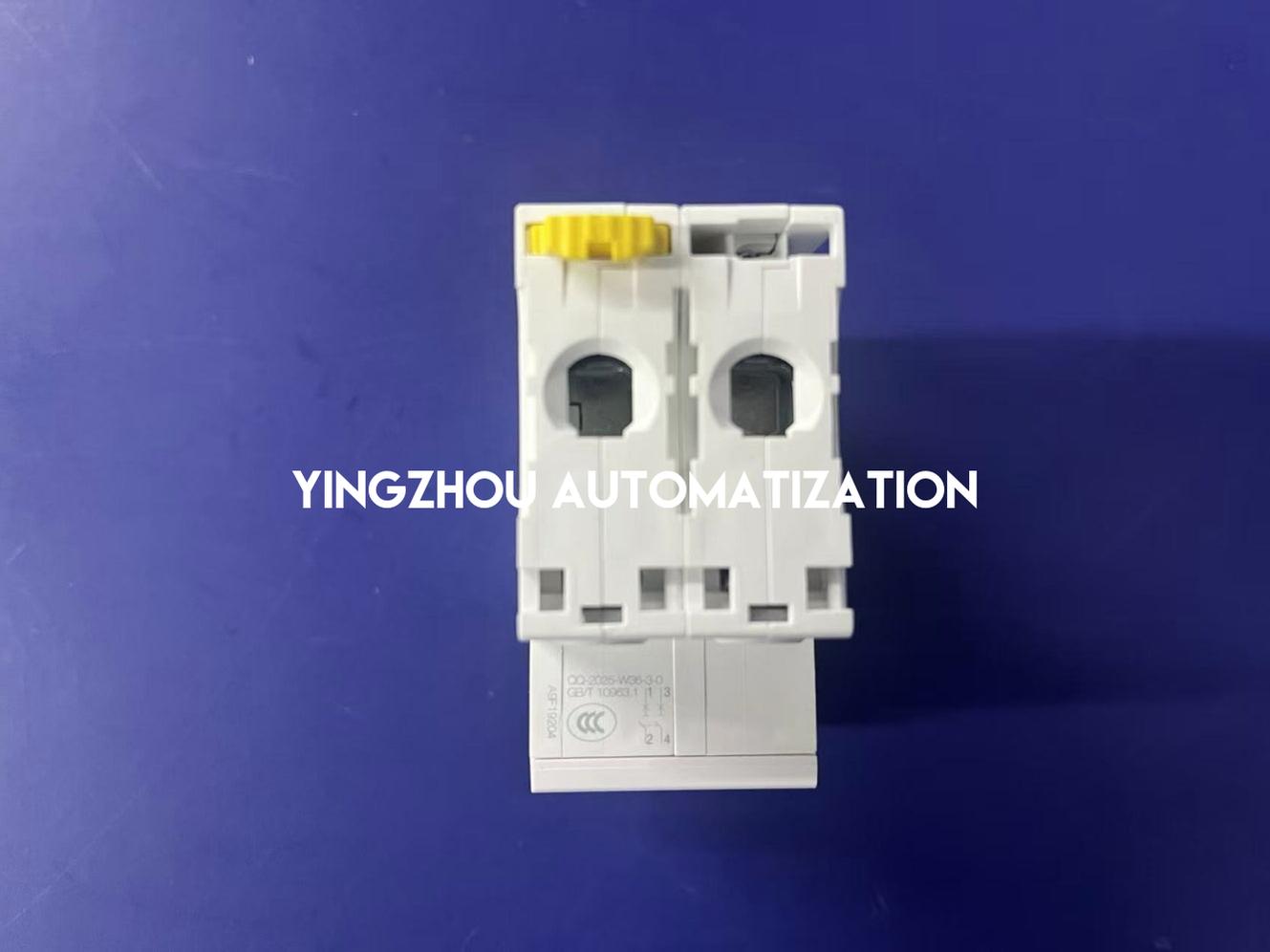 Schneider iC60N A9F19204 Miniature Circuit Breaker | 2P, 4A, C Curve, 6kA | Brand New Original-YingZhou Automatization